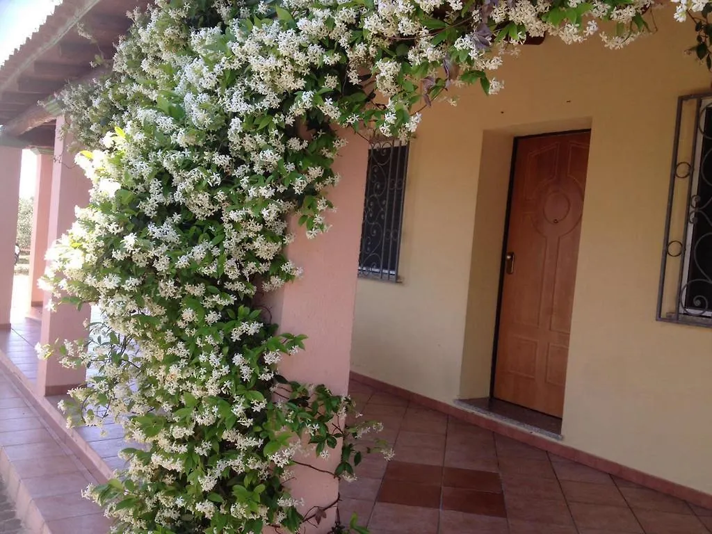 Villa Degli Ulivi E Delle Rose Орозеи