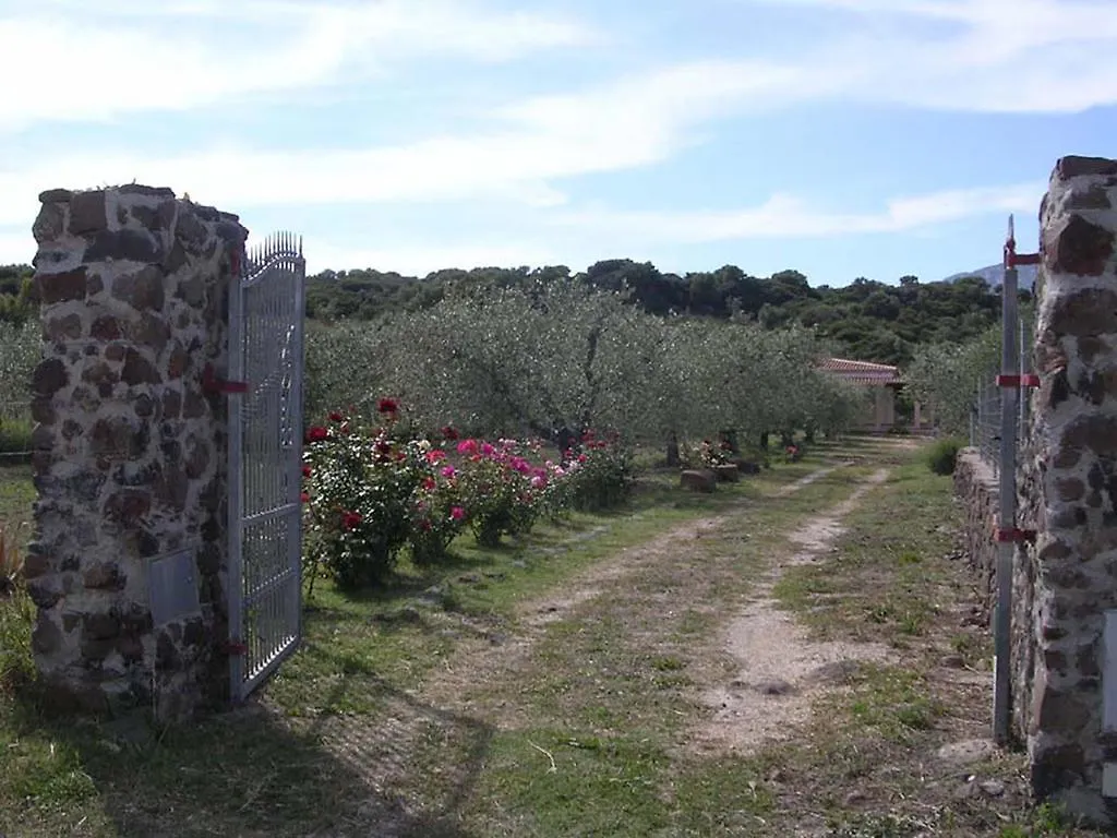Дом отдыха Villa Degli Ulivi E Delle Rose Орозеи