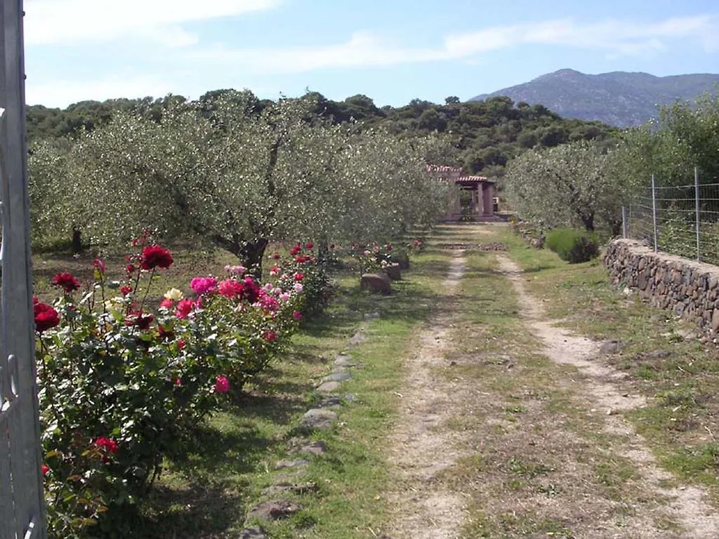 Villa Degli Ulivi E Delle Rose Орозеи 0*,